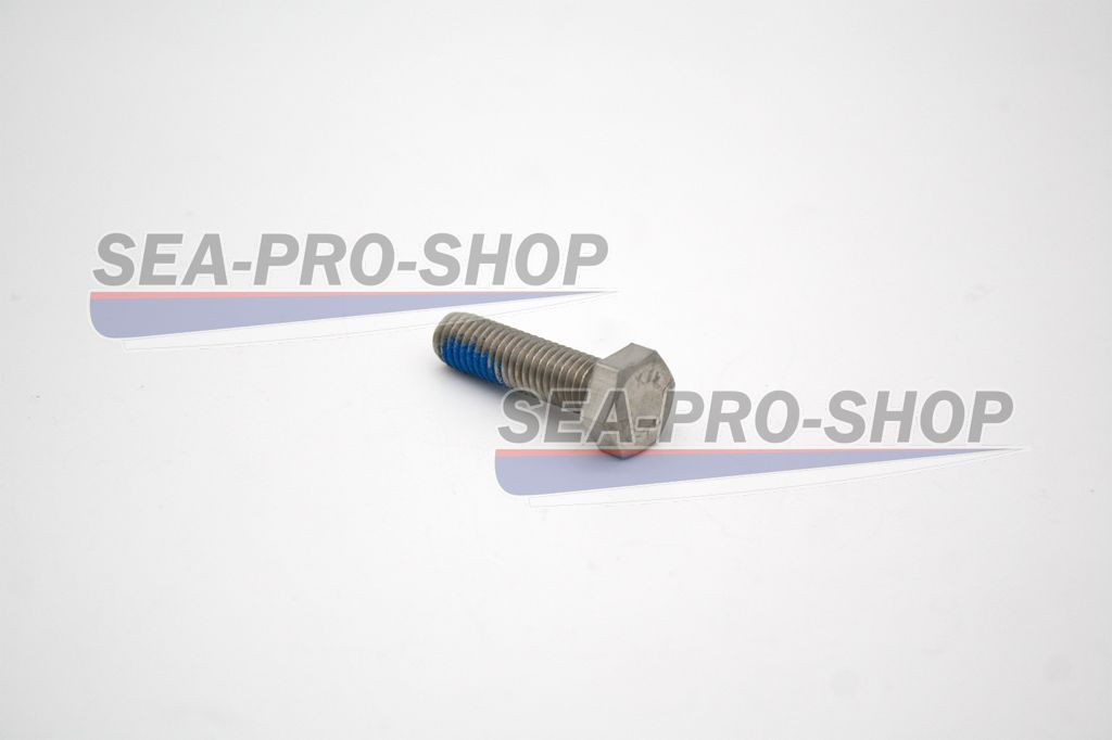 Болт M8x30 T9.8 new