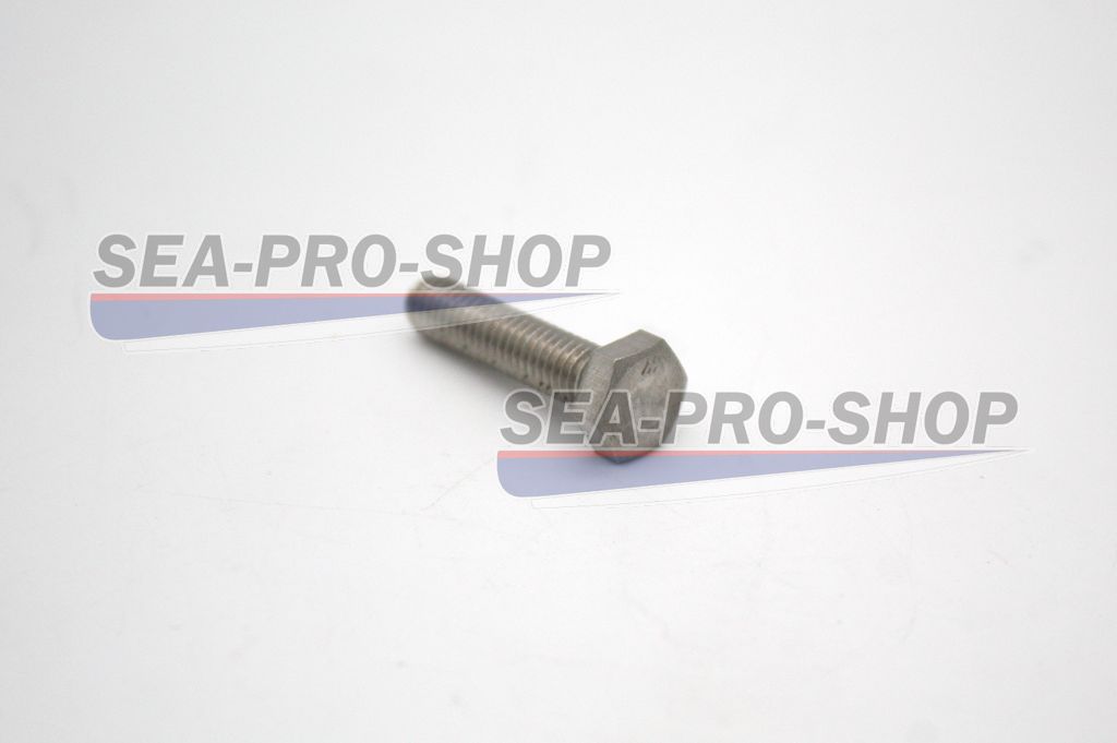 Болт М6*25 T9.8 NEW