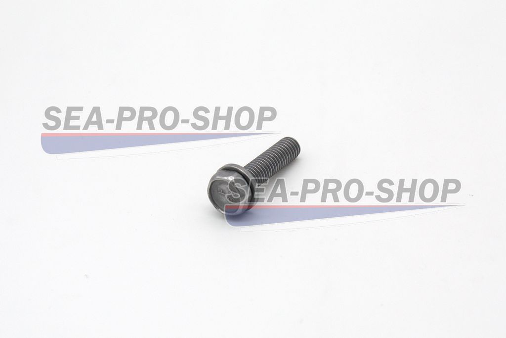 Болт с шайбой M6*30 T9.8 NEW