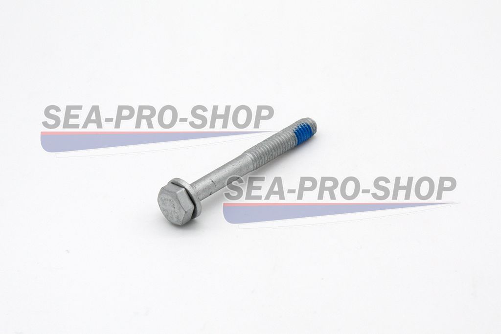 Болт с шайбой M6*50 T9.8 NEW