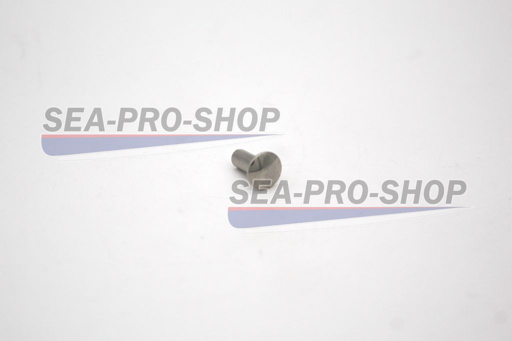 Заклепка ф4*10 T3