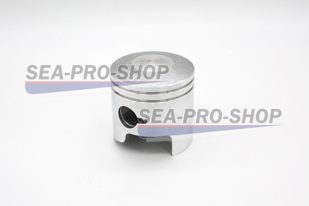 Поршень T9.8 NEW